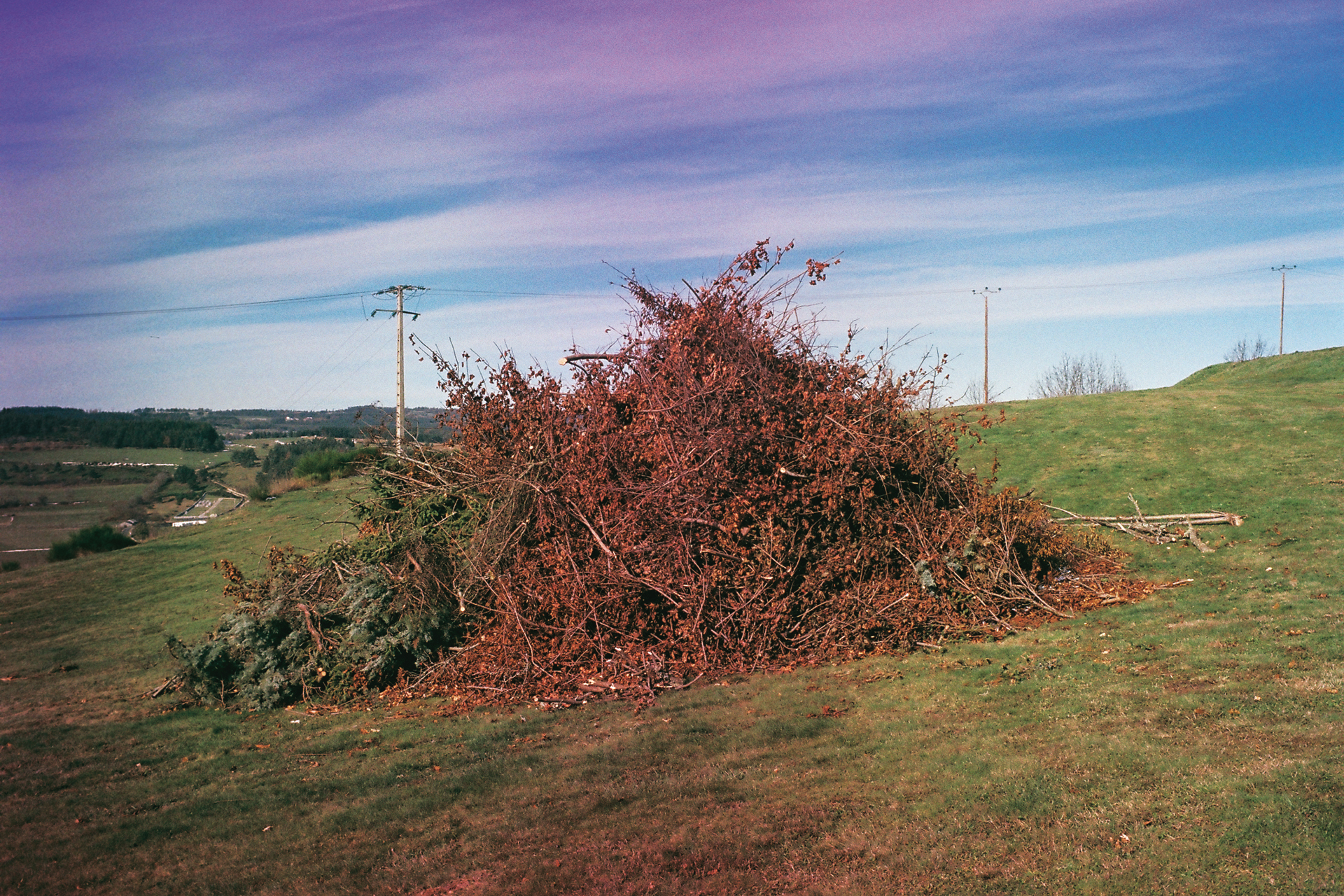 Soraya_Hocine_photo09