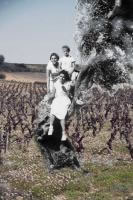 photo de famille ancienne sur une photographie de vignes en couleur